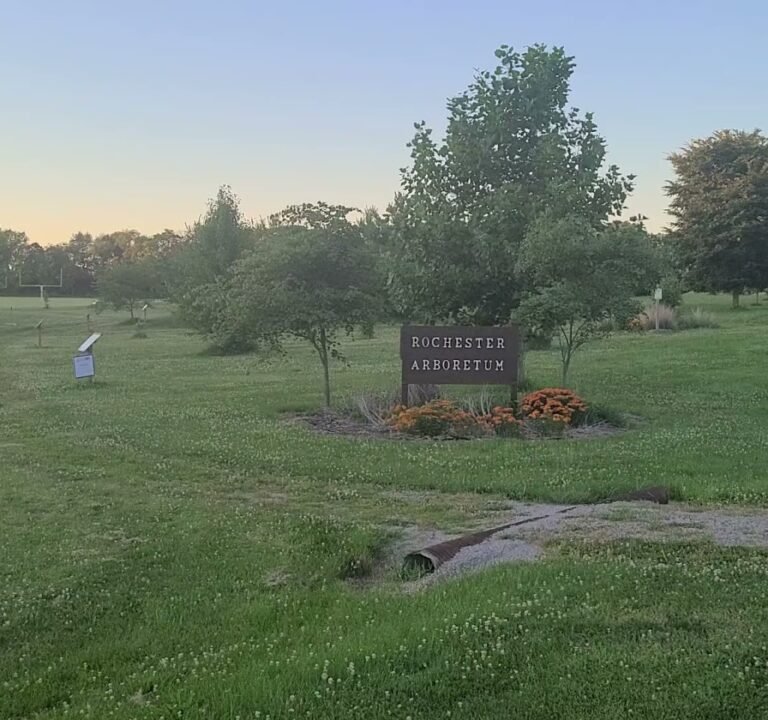 Soccer Field image 3