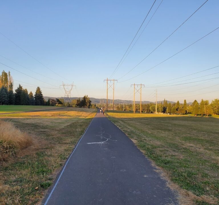 Soccer Field image 2