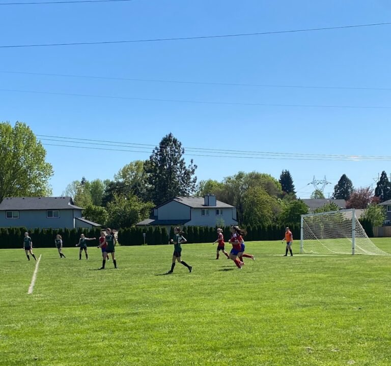 Soccer Field image 3