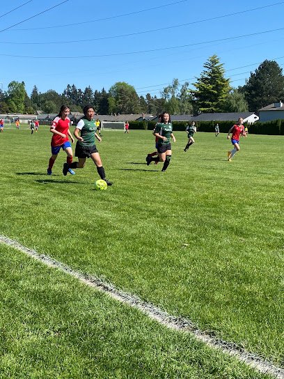 Soccer Field image 1