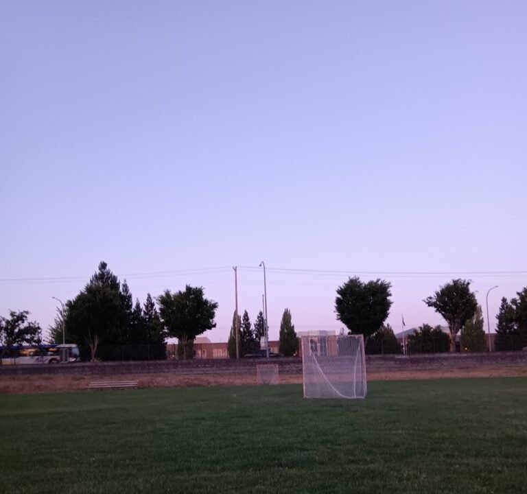Soccer Field image 3