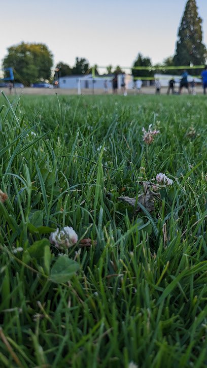 Soccer Field image 1