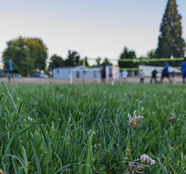Soccer Field image 2