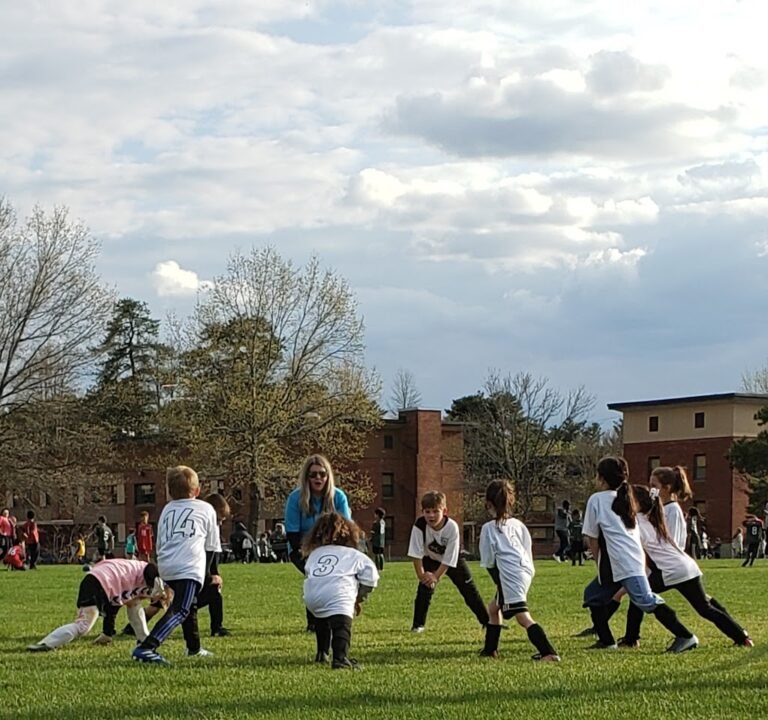 Soccer Field image 2