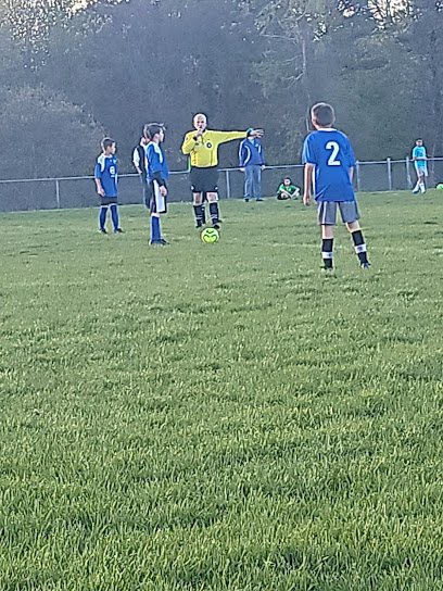 Soccer Field image 1