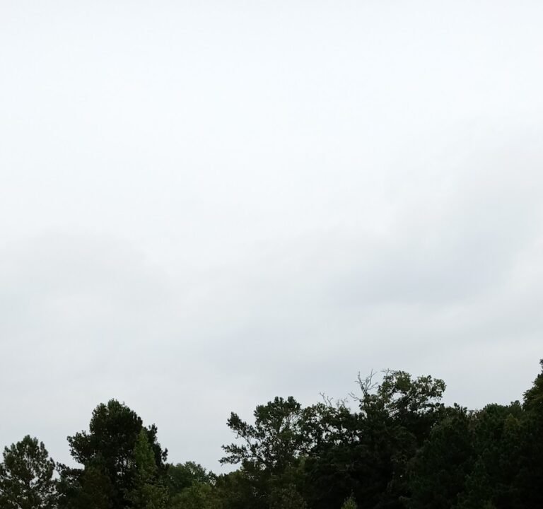 Soccer Field image 2