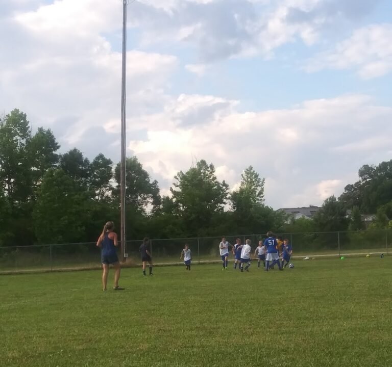 Soccer Field image 3