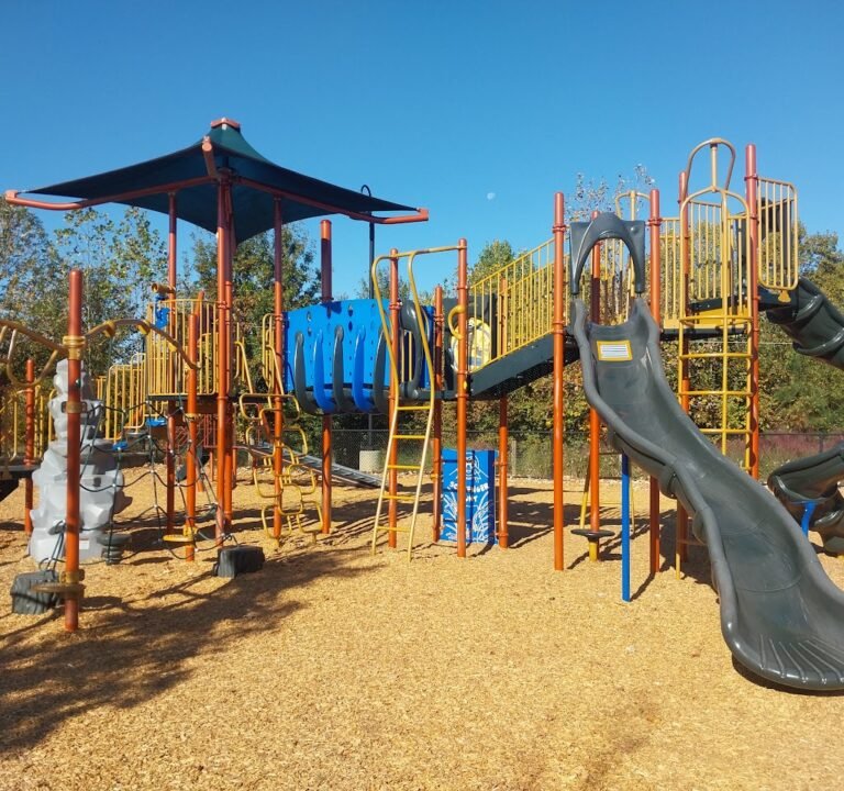 Soccer Field image 2