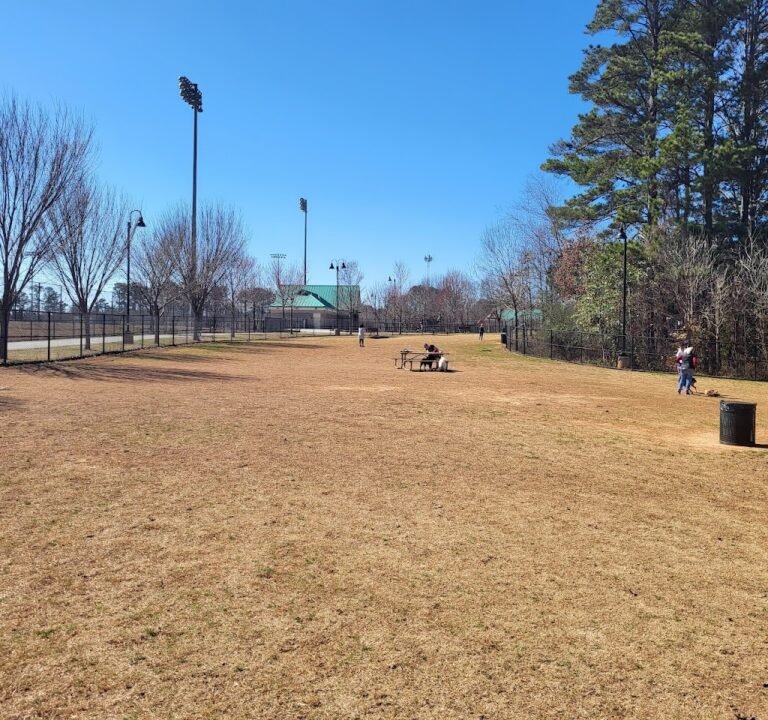 Soccer Field image 3