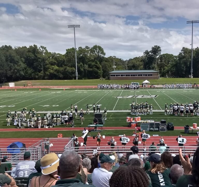 Soccer Field image 2