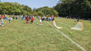 Soccer Field image 1