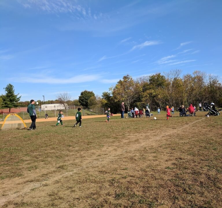 Soccer Field image 3