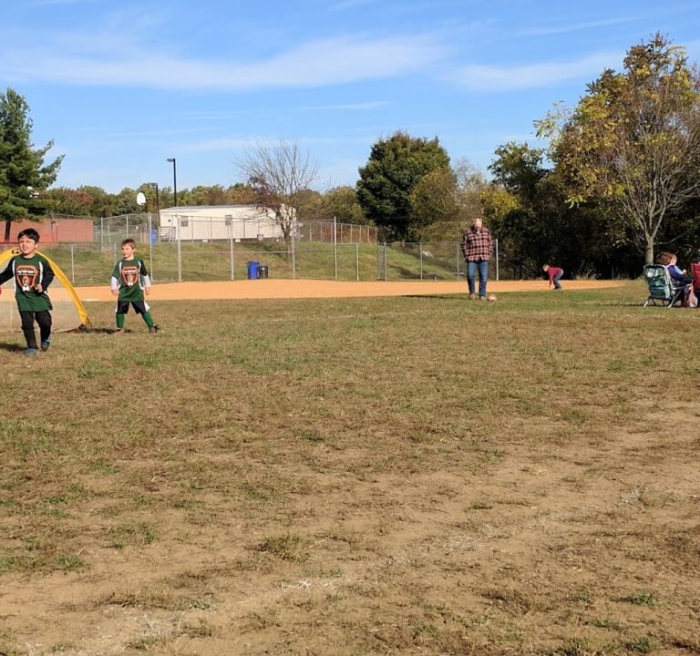 Soccer Field image 2