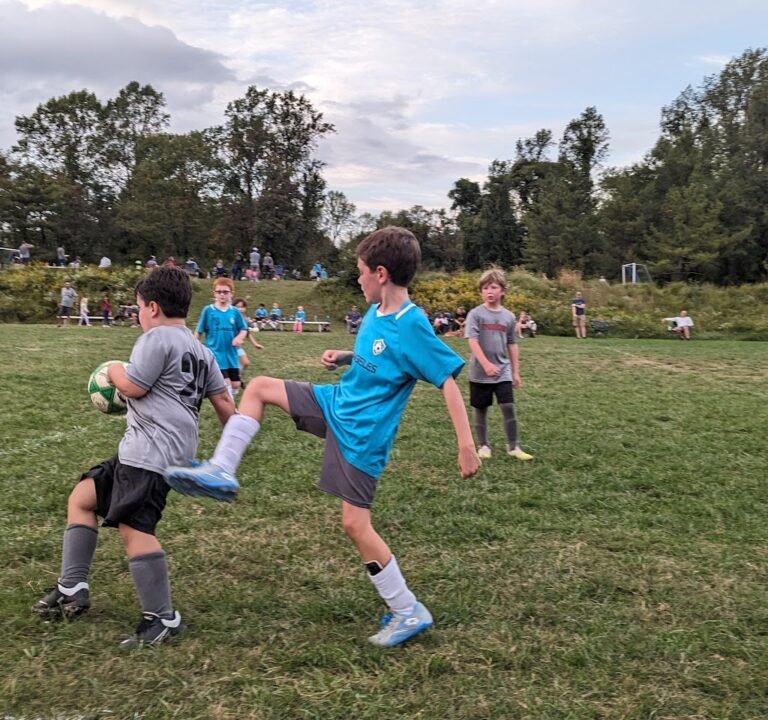 Soccer Field image 3