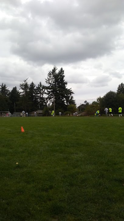Soccer Field image 1
