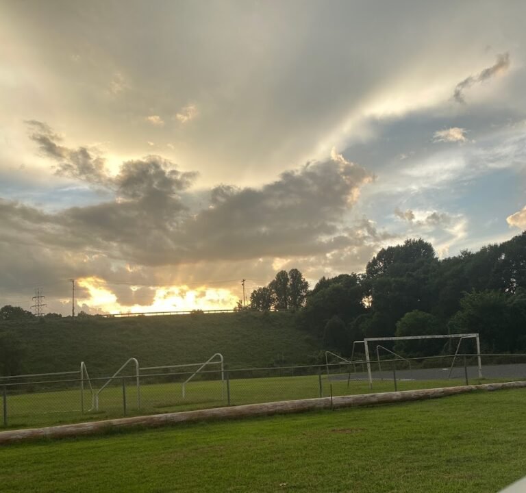 Soccer Field image 3