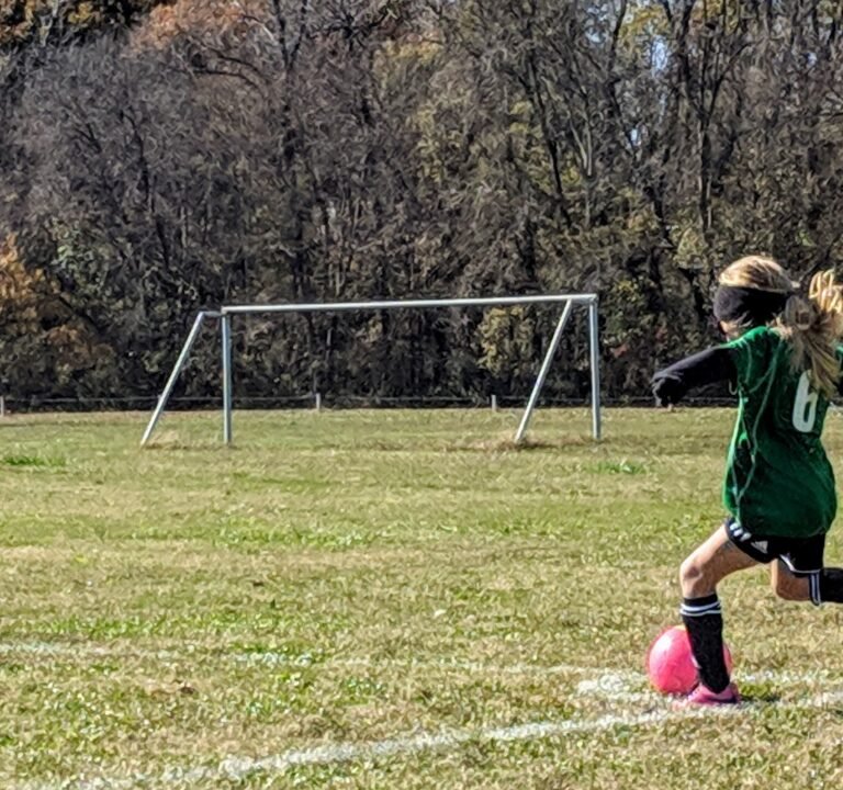 Soccer Field image 2