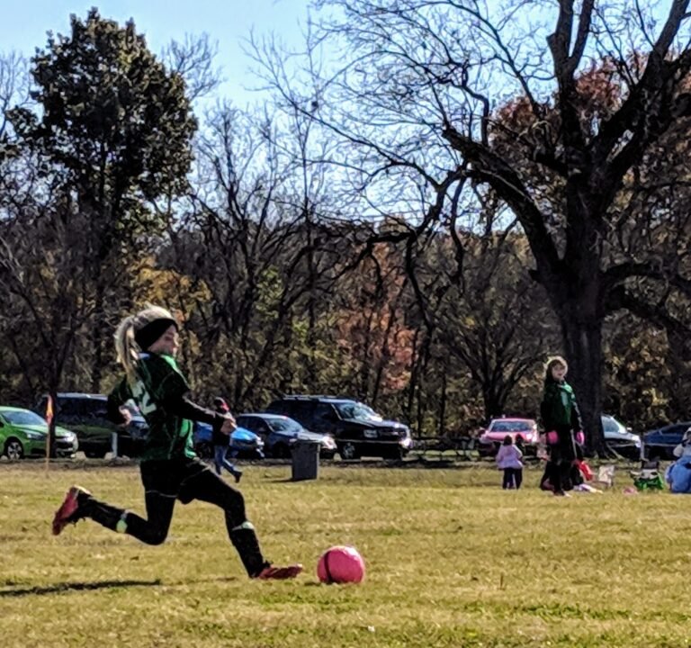Soccer Field image 3