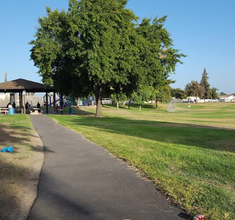 Soccer Field image 2