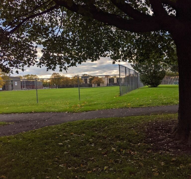 Soccer Field image 2