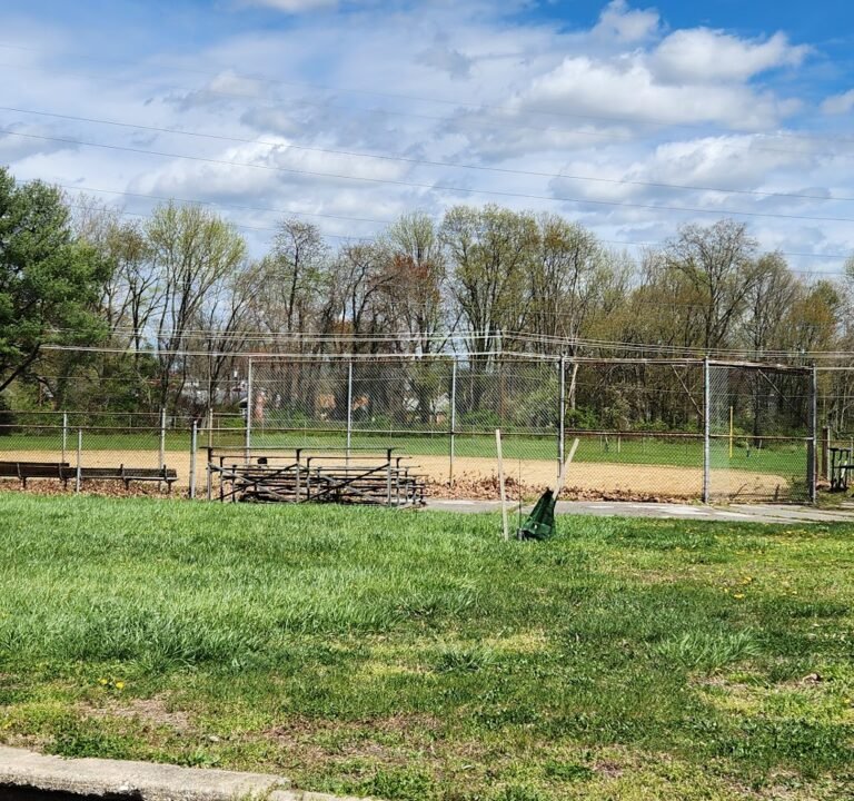 Soccer Field image 2