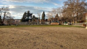 Soccer Field image 1