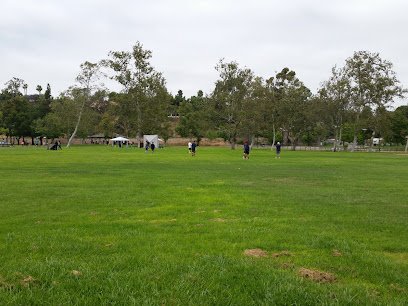Soccer Field image 1