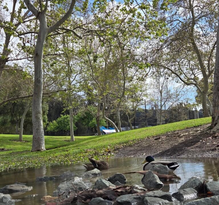 Soccer Field image 3