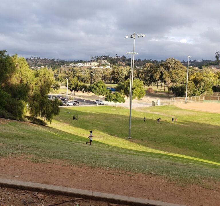 Soccer Field image 2