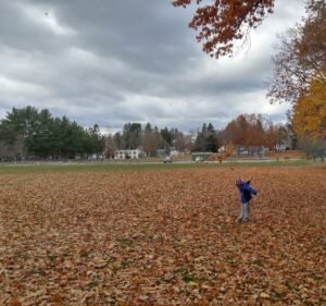Soccer Field image 3