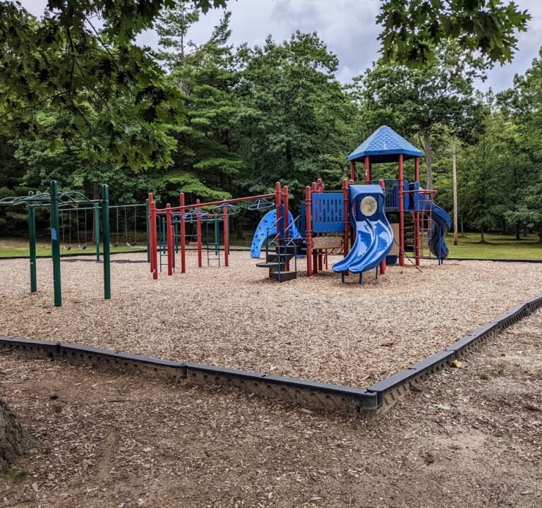 Soccer Field image 2