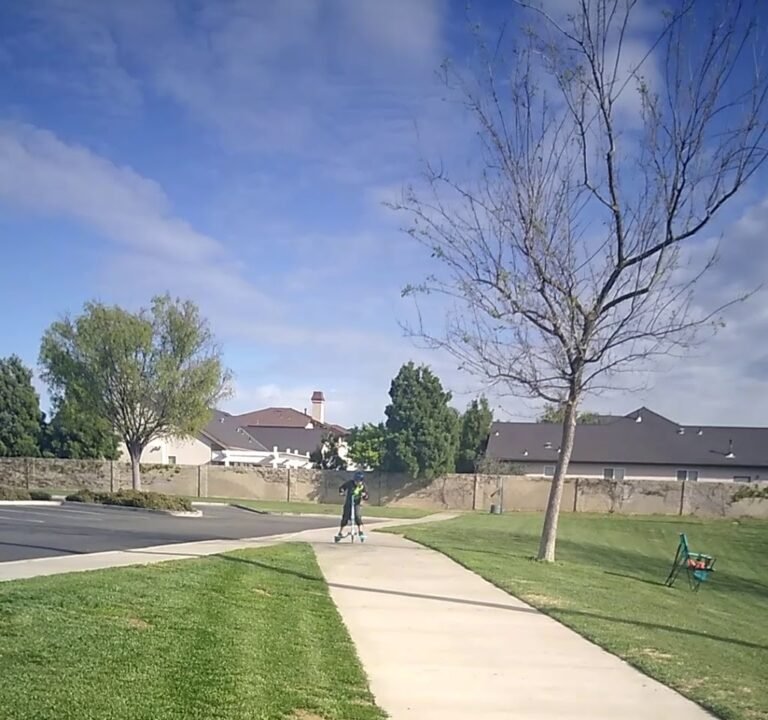 Soccer Field image 3