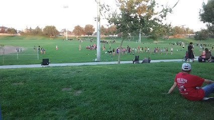 Soccer Field image 1