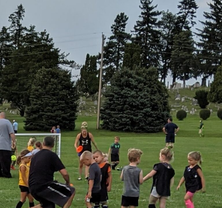 Soccer Field image 2