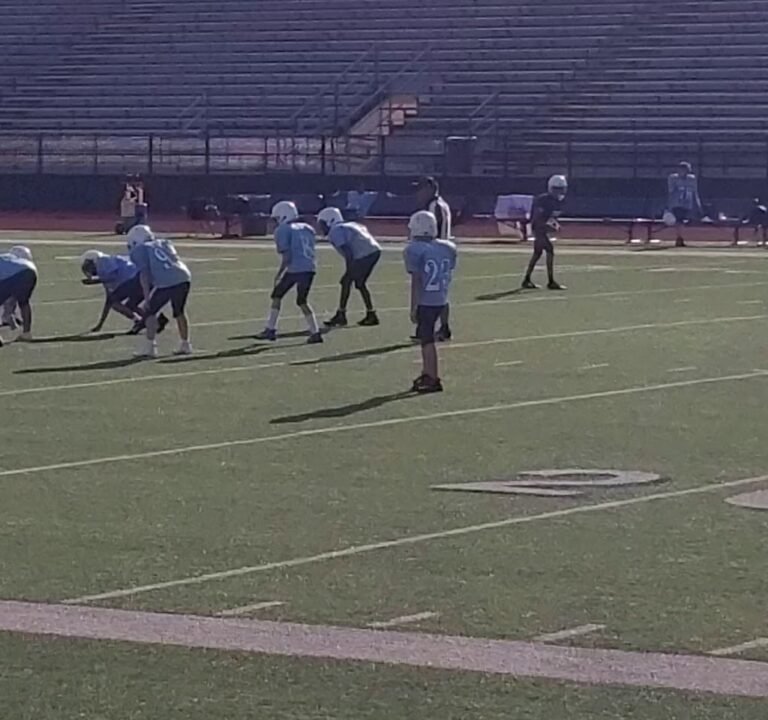 Soccer Field image 3