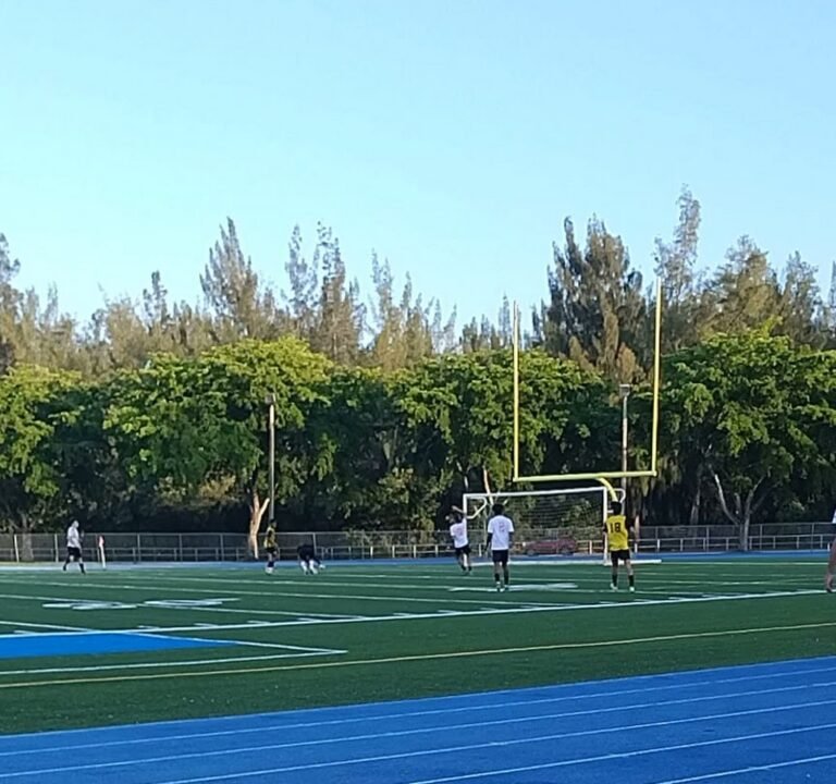 Soccer Field image 4