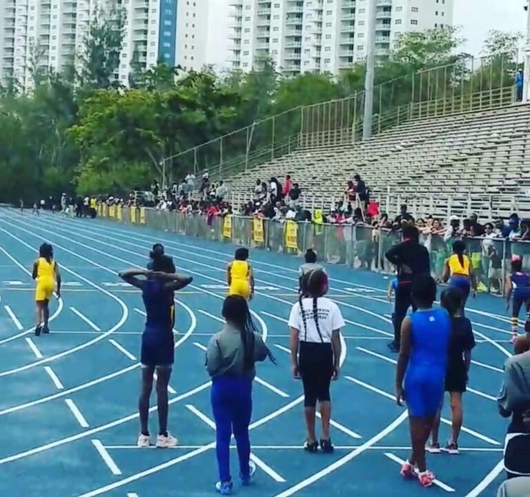 Soccer Field image 3