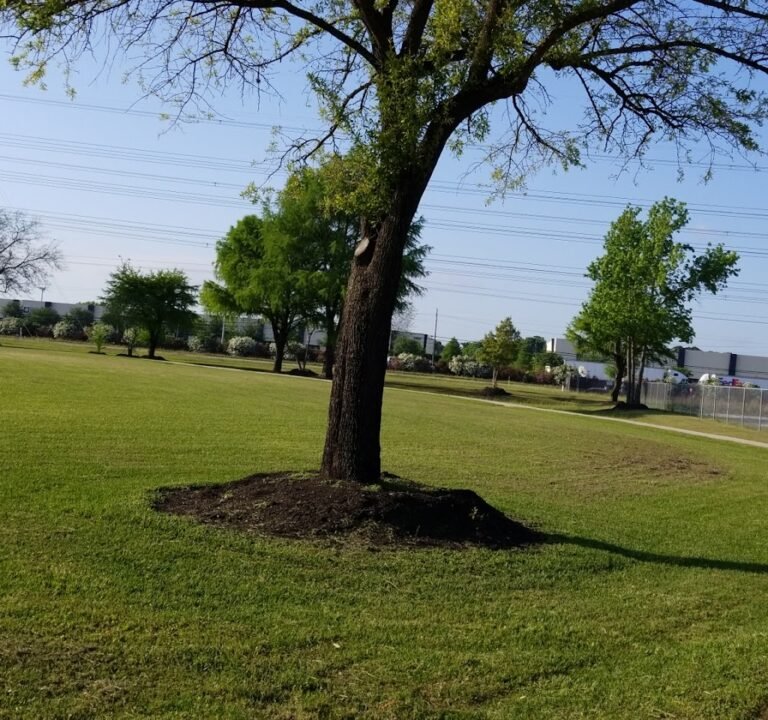 Soccer Field image 2