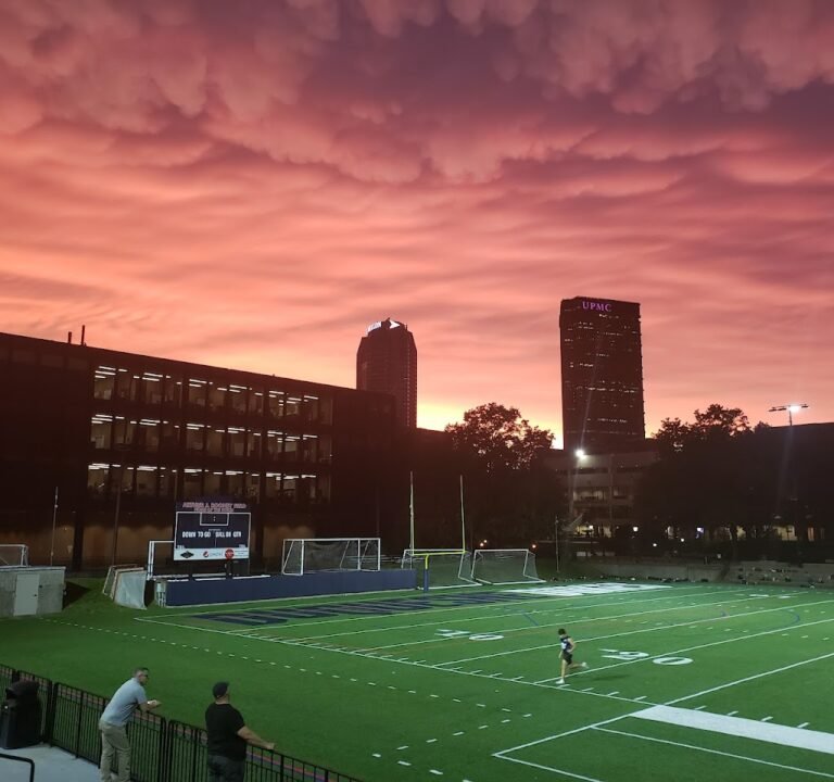 Soccer Field image 3