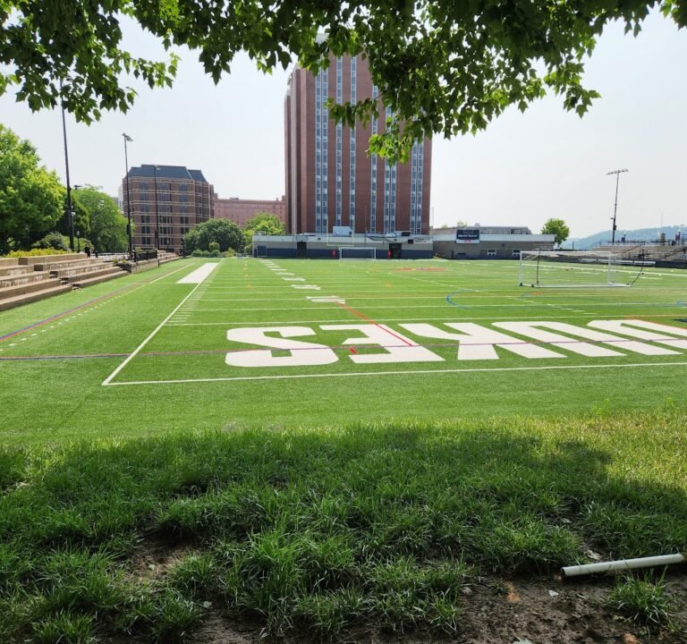 Soccer Field image 2