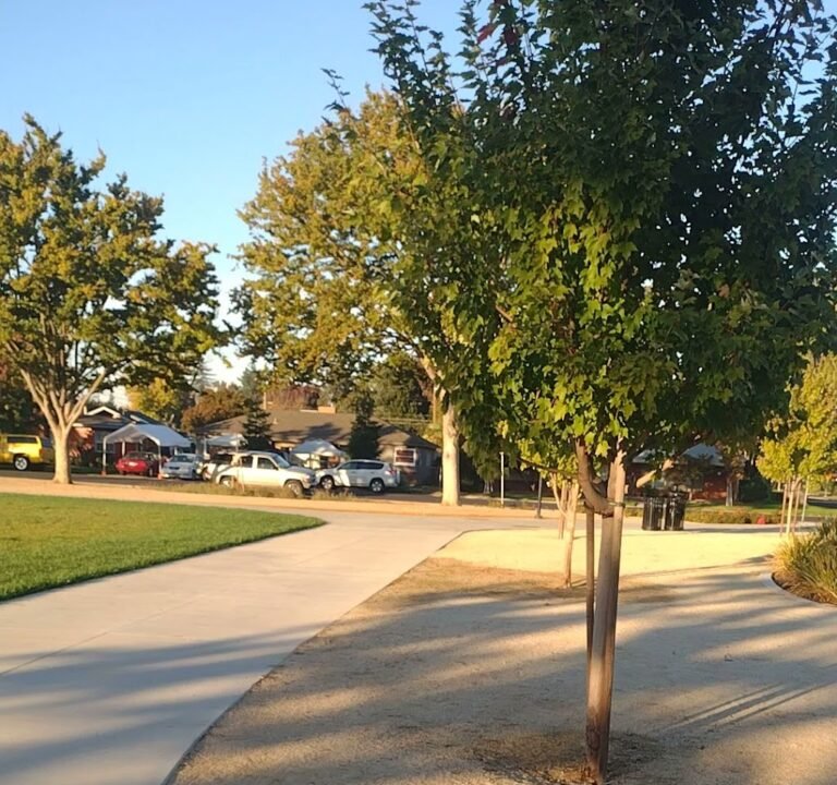 Soccer Field image 2