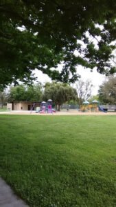 Soccer Field image 1