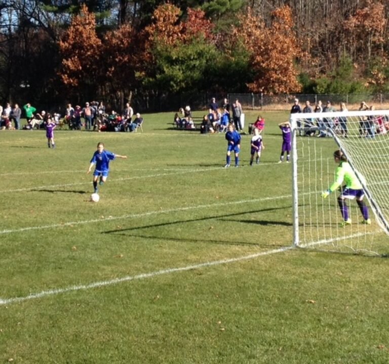 Soccer Field image 2