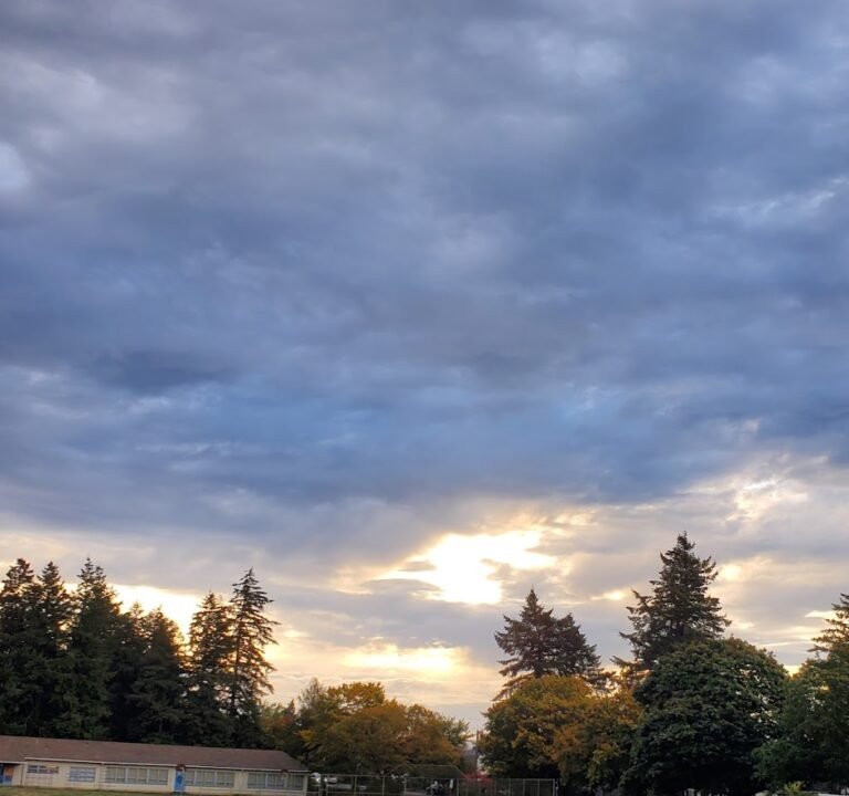 Soccer Field image 2