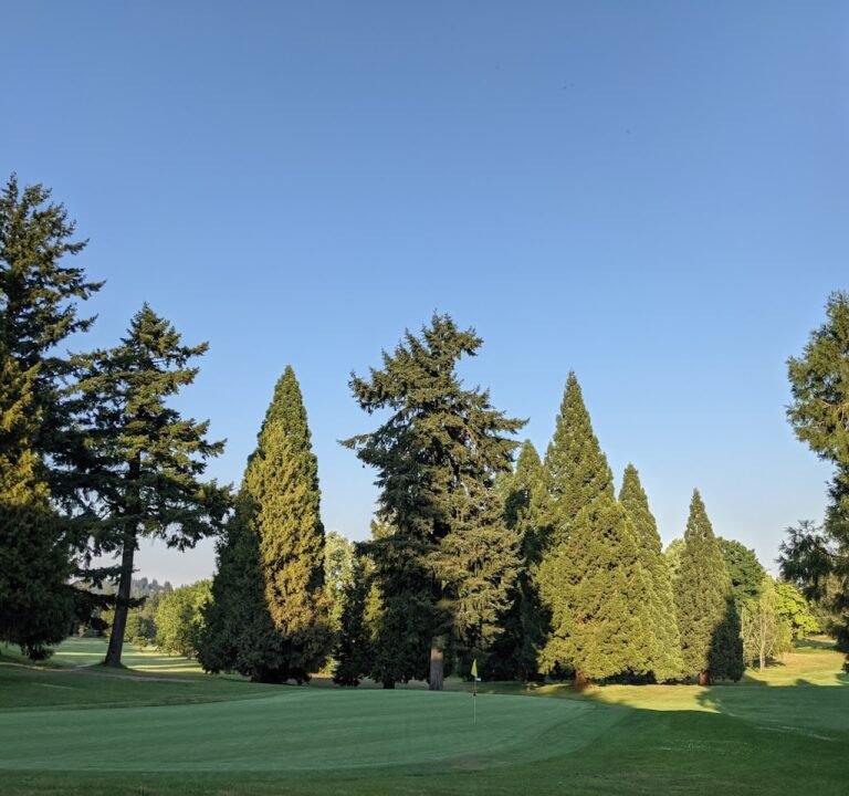 Soccer Field image 3