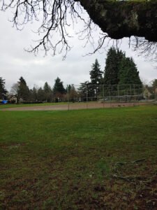 Soccer Field image 1