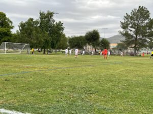 Soccer Field image 1