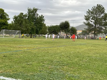 Soccer Field image 1