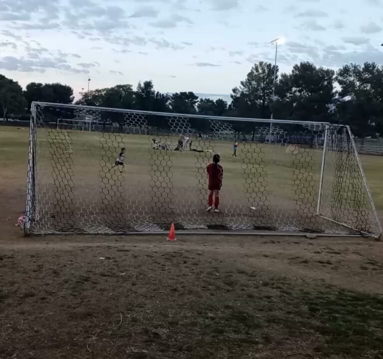 Soccer Field image 4