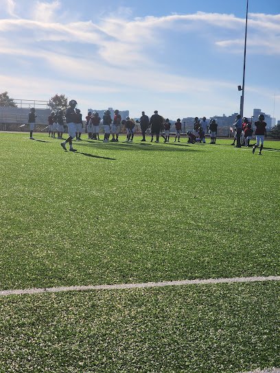 Soccer Field image 1
